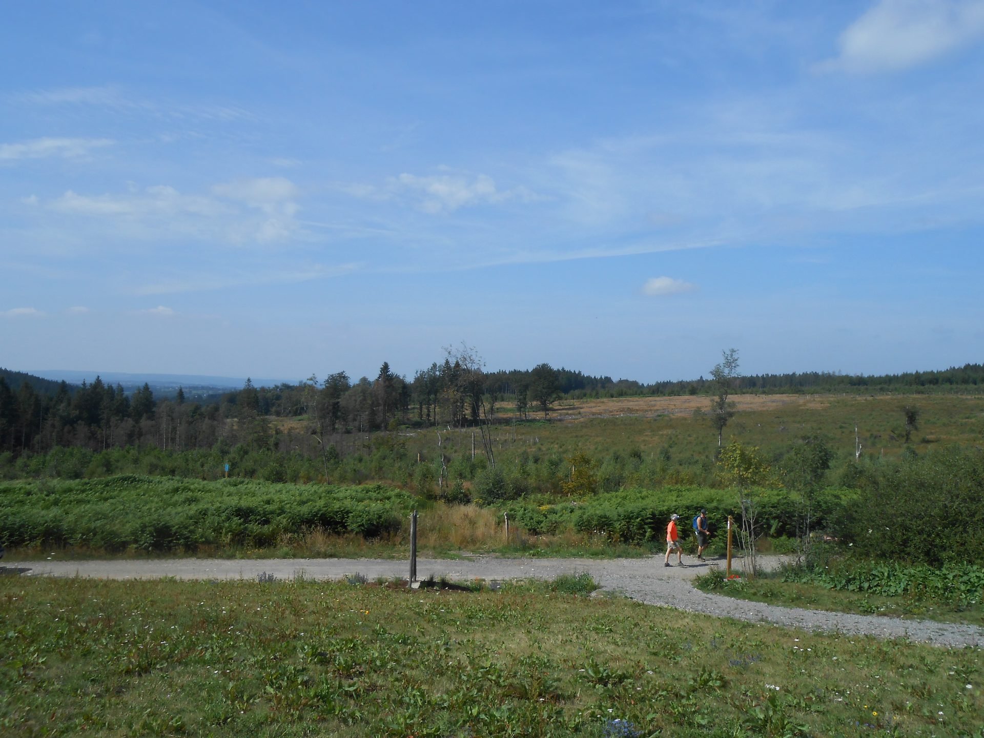 Wandelingen - Waimes Hautes Fagnes - photo 29