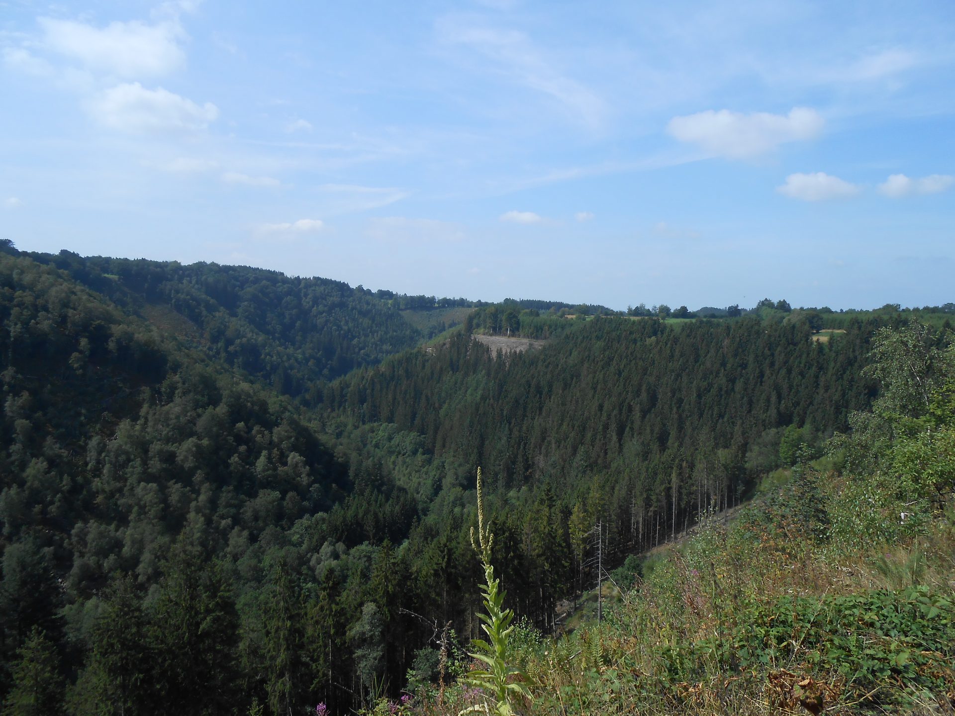 Wandelingen - Waimes Hautes Fagnes - photo 32