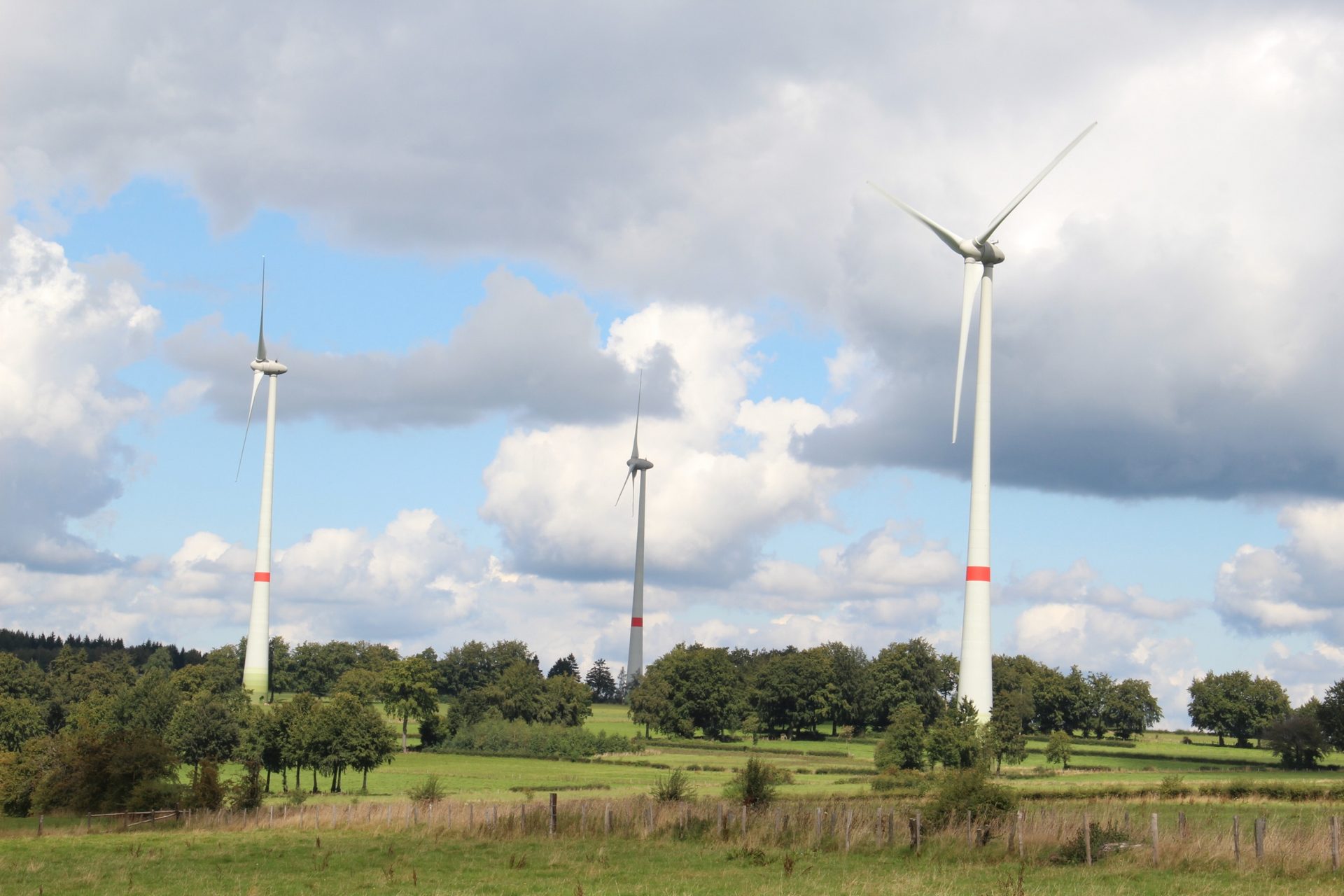 Op de hoogten van Waimes - Waimes Hautes Fagnes - photo 18