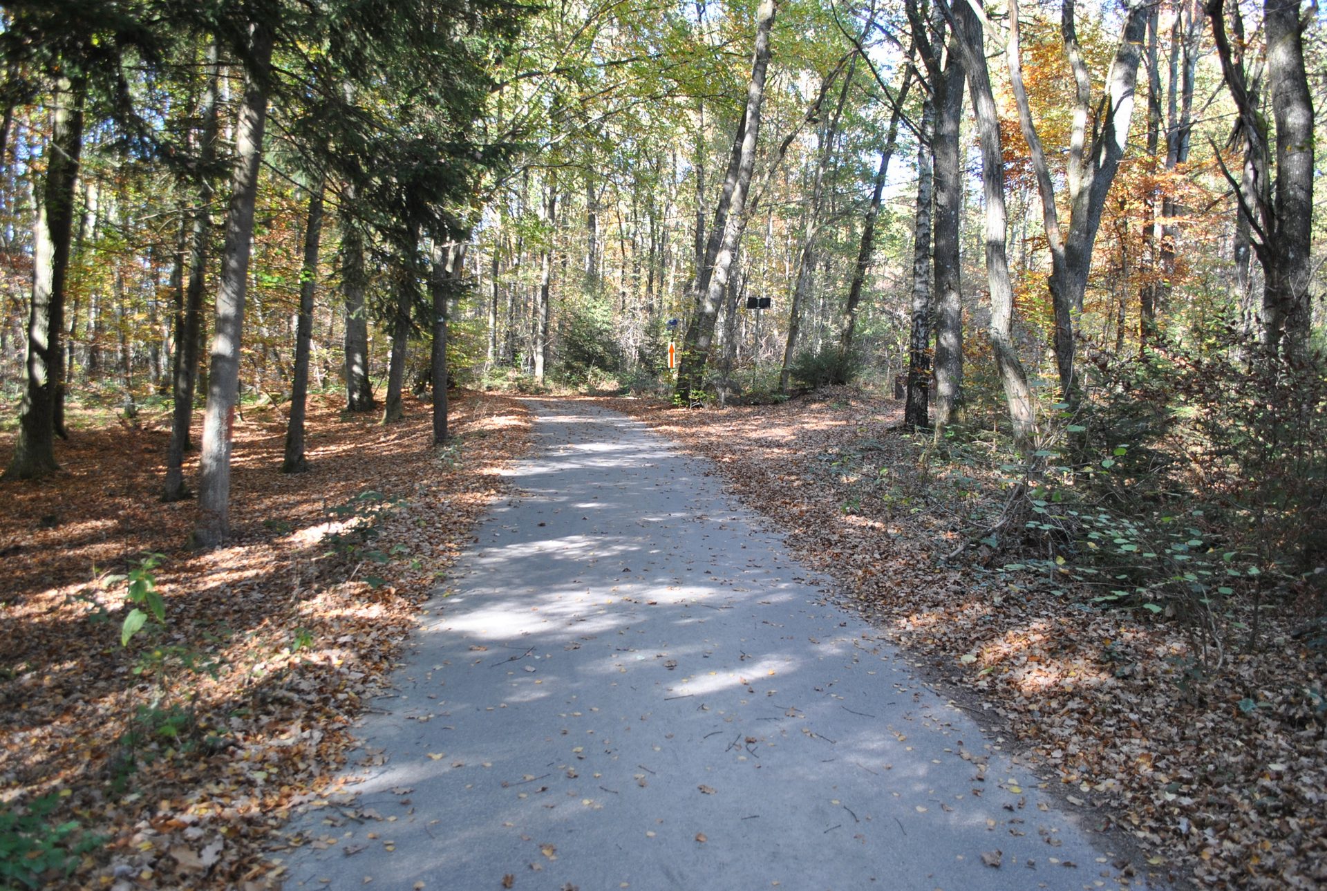 Promenades - Waimes Hautes Fagnes - photo 68