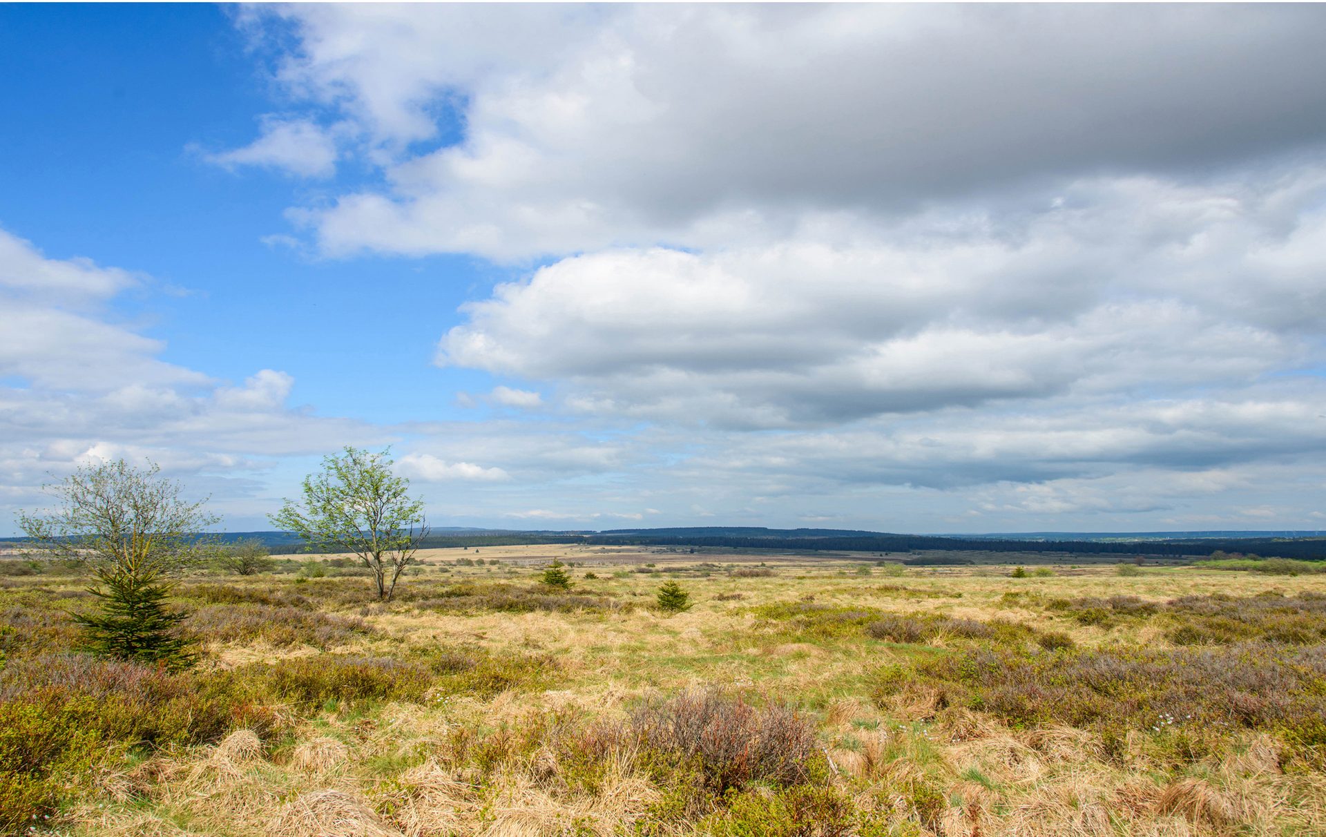 Wanderungen - Waimes Hautes Fagnes - photo 71